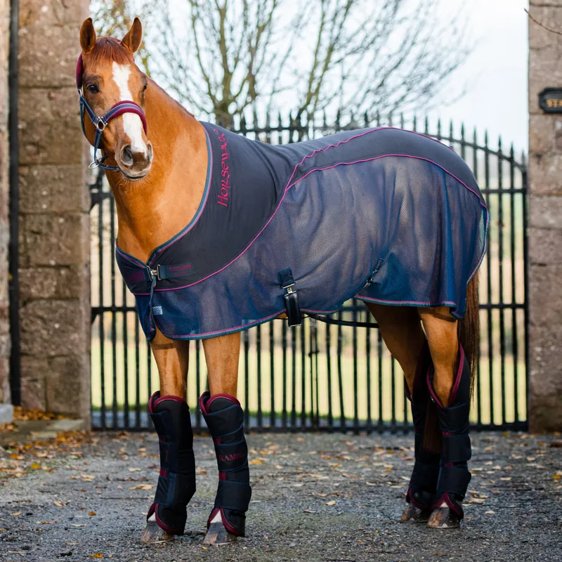 Rambo Sport Cooler Navy/Burgandy/Teal/Navy